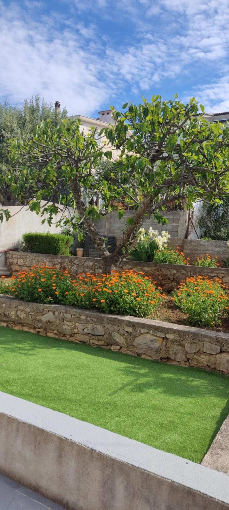 Apartmani Mataija Sveti Petar  Dış mekan fotoğraf